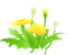 Логотип Жовті Води. ДНЗ № 35